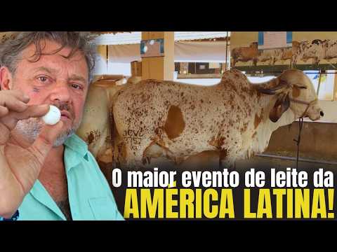 MEGA LEITE: O ENCONTRO DOS MAIORES CRIADORES DO BRASIL!