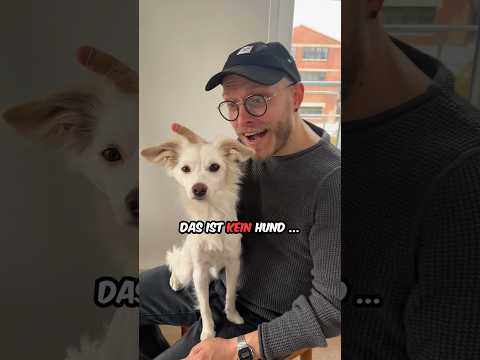 Wie viel KANINCHEN steckt in meinem HUND? #hund #shorts #vlog #wuffzessin