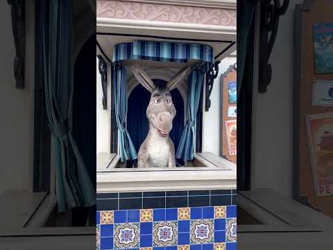 Funny donkey’s moments of universal studios #universalstudios #funnyvideo #usa #viral #funny #shrek