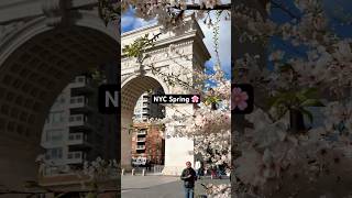 🌸 NEW YORK SPRING: Places to see Tree Blossoms - Central Park, Washington Sq Park, Greenwich Village