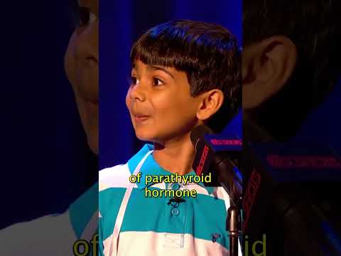 Can he spell this word? 🫣 #littlebigshots #spellingbee