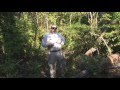 Plant Competition and Photosynthesis Concepts