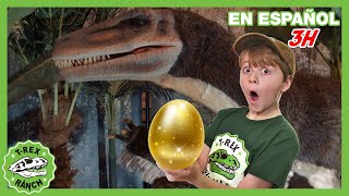 Museo intercativo de dinosaurios 🦖 Videos de dinosaurios y juguetes para niños
