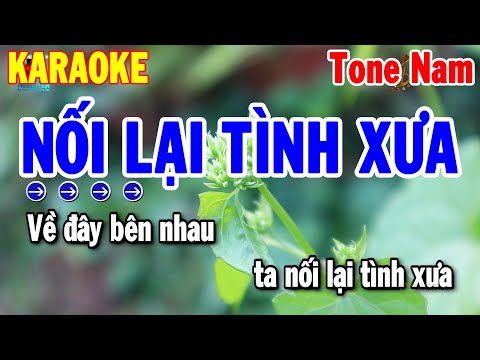 Karaoke Nối Lại Tình Xưa Tone Nam Cha Cha Nhạc Sống Dễ Hát | Thanh Hải