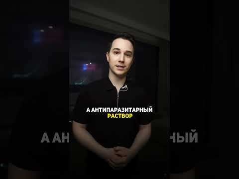 Как купают стадо овец