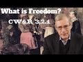 Understanding 19th Century Economic and Social Changes