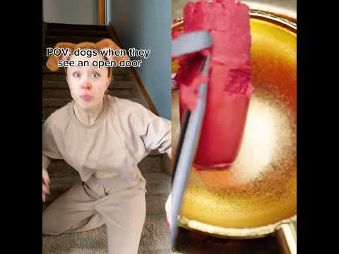 POV dogs when they see an open door #funny #pov #foryou #comedy #acting #youtube
