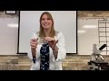 Exploring Common Lab Equipment