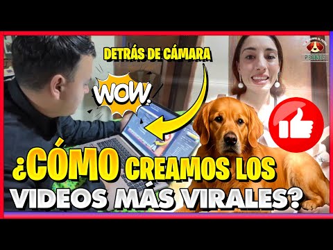 Así Creamos Nuestros Videos de Perros – ¡Detrás de Cámaras! 🎬🐶