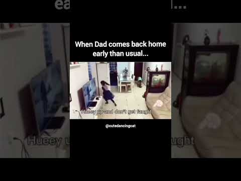 Hihi Saare Saboot mit gaye #relatable #funny #meme #dad #memes #papa #family #cuteanimals #dog #fyp