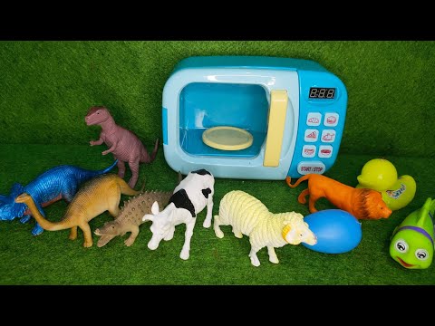 Open ajaib ada domba, bebek, sapi, ikan, telur, singa, T Rex dan Dinosaurus lainnya.