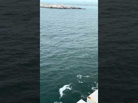 Atlantic Ferry View #youtube