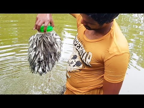 Bottle Fish Trap | Amazing Boy Catch Fish With Plastic Bottle Fish Trap (Part-2)