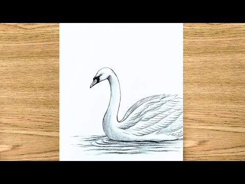 Beautiful Swan Drawing | Easy Pencil Sketch for Beginners
