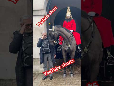 "Unbelievable: Tourist Salutes King's Horse and Gets an Unexpected Response!" #Shorts