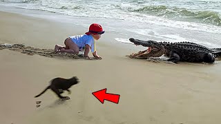 حيوانات أنقذت أصحابها في مشاهد لولا الكاميرات لما صدقها أحد !! لايصدق