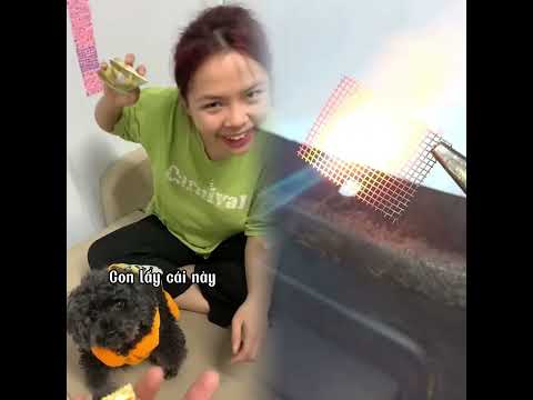 #funny Sự hai mặt của các bà mẹ