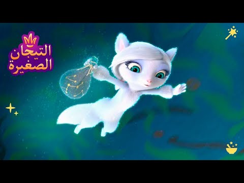 ليتلتياراس 👑 سنجاب | رسوم متحركة للاطفال