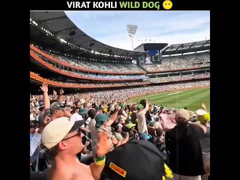 Aussies Crowd Called Kohli "Wild Dog" 🥺 #cricket #viratkohli