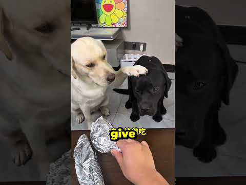 You were unfair to your brother.🍗