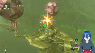 Legend of Zelda Breath Of The Wild Master Mode Part 5