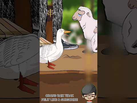 Kambing tidak mau dipotong