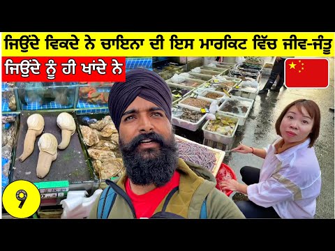 ਜਿਉੰਦੇ ਵਿਕਦੇ ਨੇ ਚਾਇਨਾ🇨🇳ਦੀ ਮਾਰਕਿਟ ਵਿੱਚ ਜੀਵ-ਜੰਤੂ😱 ਜਿਉੰਦੇ ਹੀ ਖਾਂਦੇ Live Sea Food Market China|Vlog