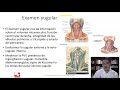 Jugular Examination and Venous Pulse