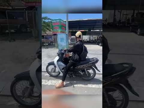 Mém bị rắn cắn