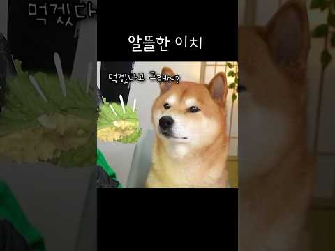 마치 요거트 뚜껑을 핥는 것과도 같은 이치 ㅋㅋㅋ