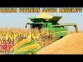 Modern Corn Farming in America
