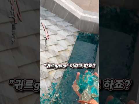 태어나서 처음 들어보는 소리네요