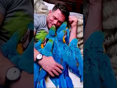 He Saved Baby Parrots… What Happened After Will Melt Your Heart 🐦❤️ #Viral #Wow