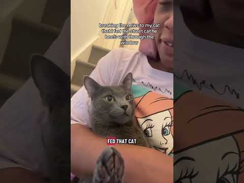 She confesses to him - And this is what happened  🐈