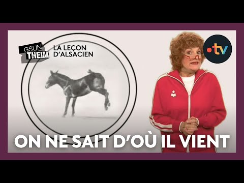 La leçon d'alsacien : "on ne sait d'où il vient, c'est qu'un âne l'aura pété contre un mur"