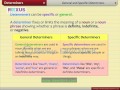 Understanding Determiners and Their Functions