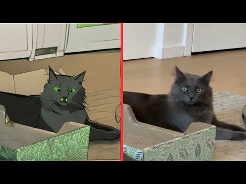 Cat Memes Try Not To Laugh🐱😂Funny Animal Videos😂Domestic Animals Drawing | Loop Media