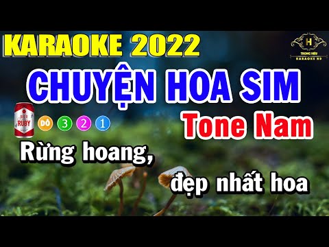 Chuyện Hoa Sim Karaoke Tone Nam Nhạc Sống 2022 Dễ Hát Nhất | Trọng Hiếu