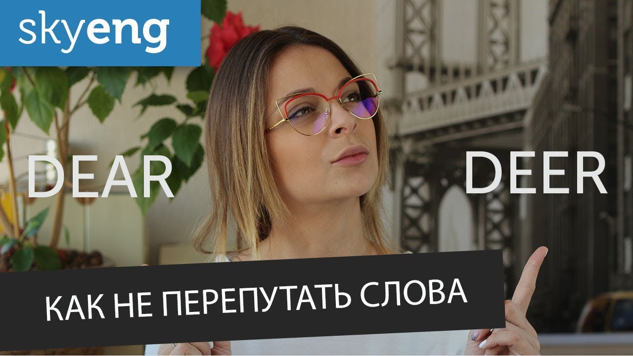 Dear VS Deer. Как не перепутать англииские слова