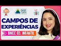 Campos de Experiências da Educação Infantil