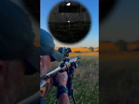 The Silent Assassin: .22LR Rabbit Hunting With Subsonics