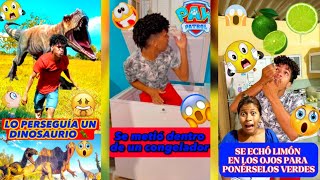 Aventura con los dinosaurios (recopilación)
