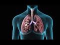 Lung Function and Spirometry Concepts