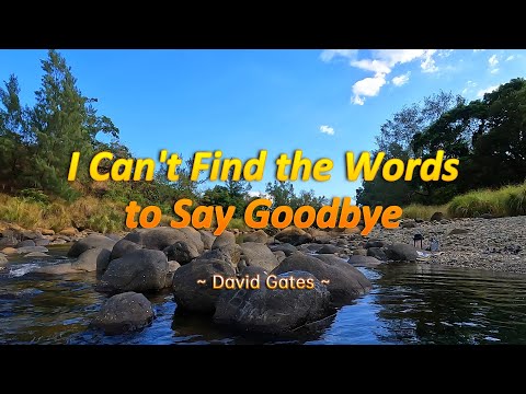 I CAN’T FIND THE WORDS TO SAY GOODBYE – (4k HDR Karaoke Version) – in the style of David Gates