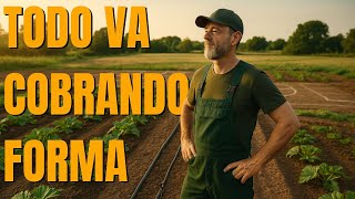 ¡Así luce nuestro huerto! Sistema de riego, abonado y la tienda que viene…