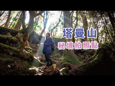 塔曼山中級山挑戰 新北第一高峰 精靈仙境超美拍點大公開 挑戰結果 …  x 【冷娃一隊】| 拉拉山的711好方便 Feat. #大膽賈攝