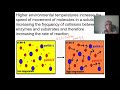 Enzyme Activity and Environmental Factors