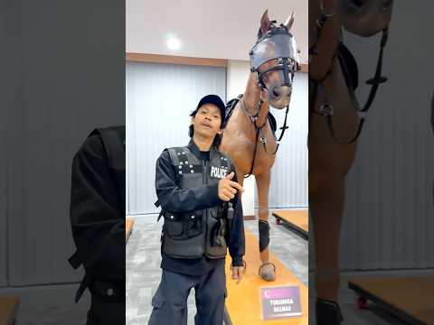 Review kuda dan anjing polisi😱#review #police #polisi #satwa  #movingtolive #ichaltkd