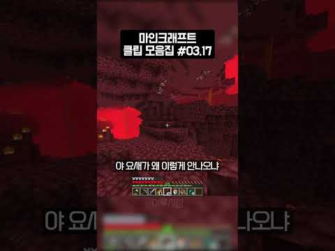 시소