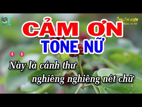 Karaoke Cảm Ơn Tone Nữ ( Am ) Nhạc Sống Mới || Karaoke Tuấn Kiệt